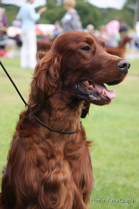 Copper's Champagne On Ice At Aoibheanne (8).jpg